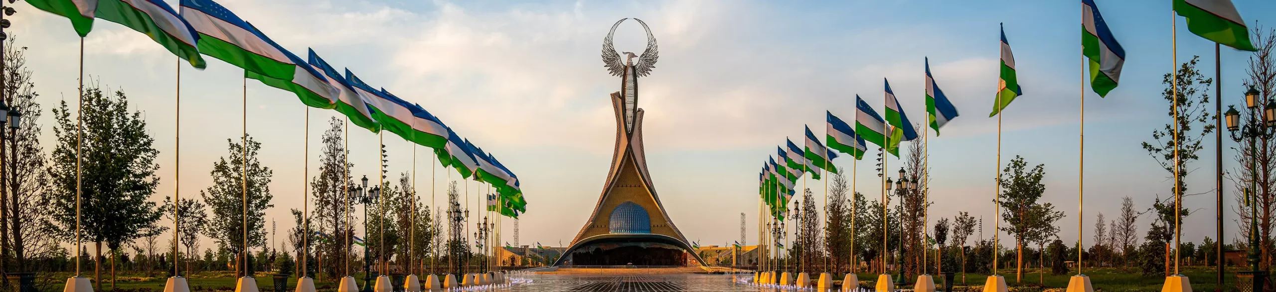 پس زمینه ویزا